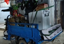 hình 15